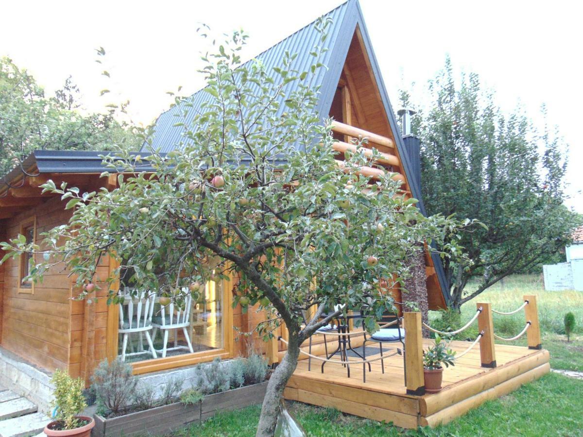 采蒂涅Apple House别墅 外观 照片